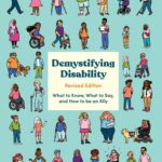 Demystifying Disability book cover